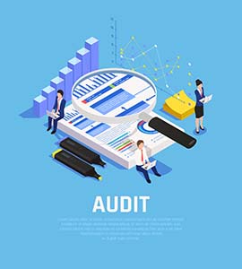 Auditor - Full Time